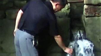 金鸡后传在线视频,传奇续篇，再续辉煌传奇